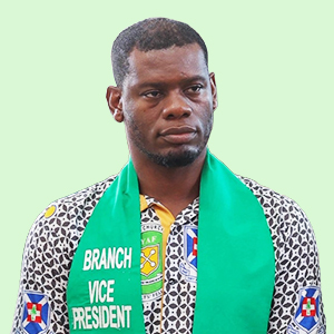 David Ekow Prah Nyann